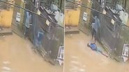 Ghaziabad: ज्ञान खंड पार्क के पास जलभराव में करंट दौड़ने से 22 वर्षीय युवक की दर्दनाक मौत; रोंगटे खड़े करने वाला वीडियो वायरल Ghaziabad: ज्ञान खंड पार्क के पास जलभराव में करंट दौड़ने से 22 वर्षीय युवक की दर्दनाक मौत; रोंगटे खड़े करने वाला वीडियो वायरल