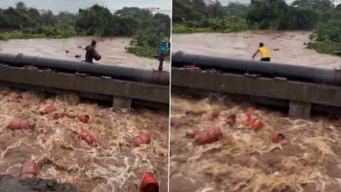 Raigad Floods: पातालगंगा नदी में बहे HPCL प्लांट के 3,000 एलपीजी सिलेंडर; प्रशासन ने जारी की गंभीर चेतावनी (Watch Video)