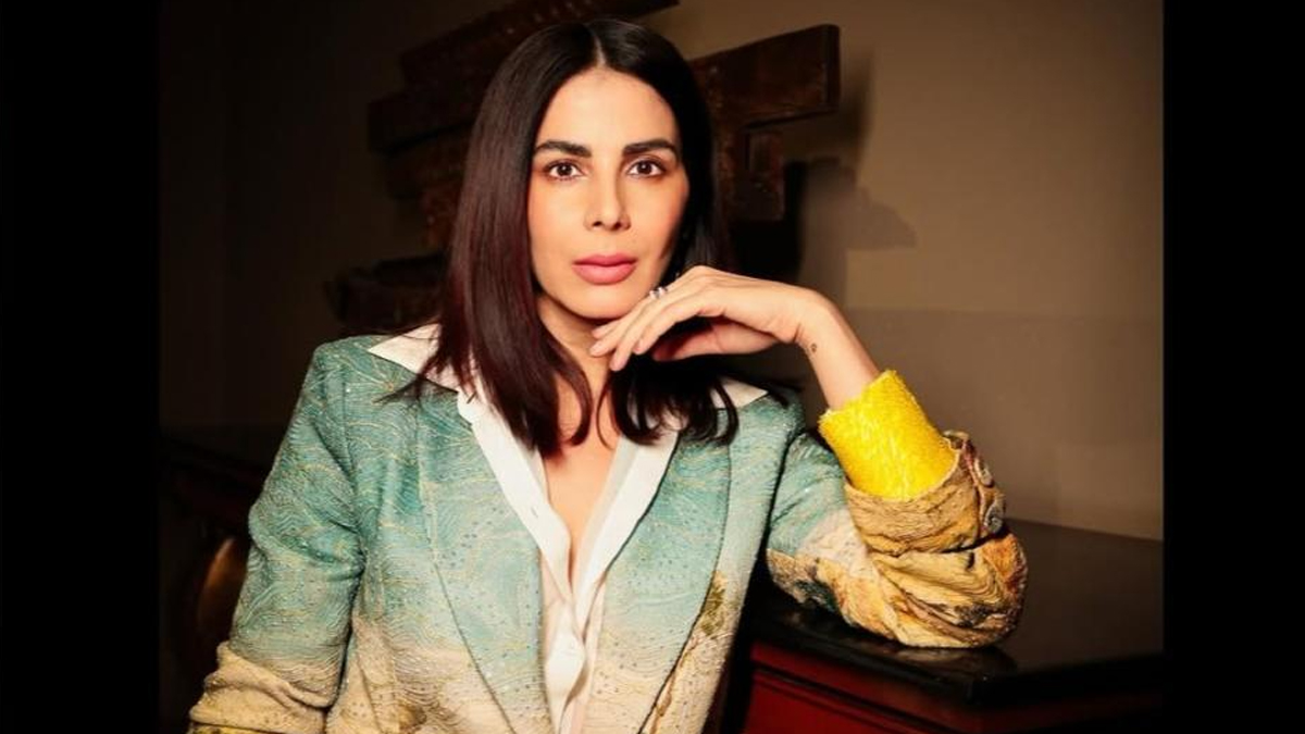 Kirti Kulhari Credit Card Scam: बॉलीवुड अभिनेत्री कीर्ति कुल्हारी बनीं साइबर ठगी का शिकार, क्रेडिट कार्ड से उड़ाए ₹2.43 लाख; मुंबई साइबर सेल ने शुरू की जांच