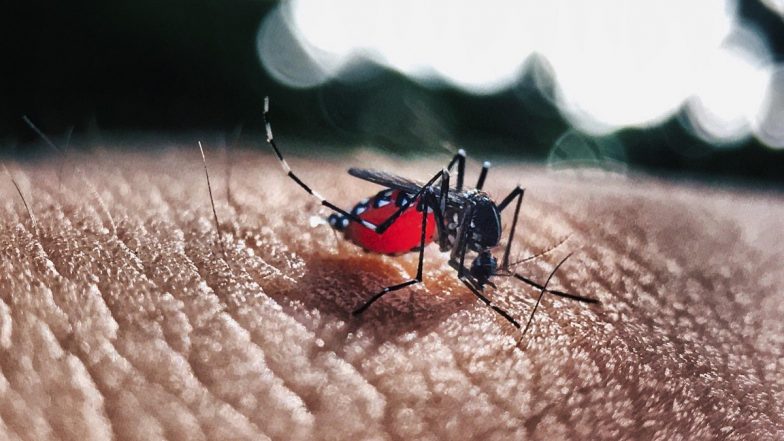 Dengue Vaccine: भारत में पहली डेंगू वैक्सीन QDENGA को DCGI की मंजूरी मिली, 4 से 60 साल तक के लोगों को लगाई जा सकेगी