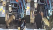 Rajasthan Leopard Attack: टोंक में शराब की दुकान में घुसा पैंथर, 3 लोगों को किया घायल; सेल्समैन ने दुकान में बंद कर बचाई जान (Video) Rajasthan Leopard Attack: टोंक में शराब की दुकान में घुसा पैंथर, 3 लोगों को किया घायल; सेल्समैन ने दुकान में बंद कर बचाई जान (Video)
