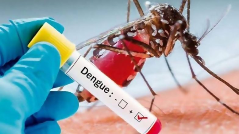 India First Dengue Vaccine QDENGA: भारत में पहली डेंगू वैक्सीन 'क्यूडेंगा' को मिली मंजूरी; जानें किसे लगेगी, डोज और यह कैसे करेगी काम