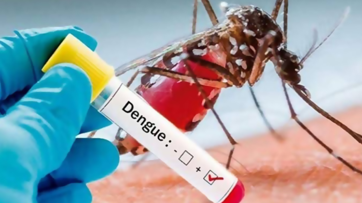 India First Dengue Vaccine QDENGA: भारत में पहली डेंगू वैक्सीन 'क्यूडेंगा' को मिली मंजूरी; जानें किसे लगेगी, डोज और यह कैसे करेगी काम