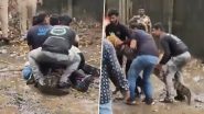 Mumbai Crocodile Rescue Video: मुंबई के पवई झील के पास रिहायशी इलाके में घुसा 7 फीट लंबा मगरमच्छ, कड़ी मशक्कत के बाद वन विभाग ने किया रेस्क्यू Mumbai Crocodile Rescue Video: मुंबई के पवई झील के पास रिहायशी इलाके में घुसा 7 फीट लंबा मगरमच्छ, कड़ी मशक्कत के बाद वन विभाग ने किया रेस्क्यू