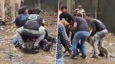 Mumbai Crocodile Rescue Video: मुंबई के पवई झील के पास रिहायशी इलाके में घुसा 7 फीट लंबा मगरमच्छ, कड़ी मशक्कत के बाद वन विभाग ने किया रेस्क्यू