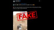 Fact Check: क्या भारत में कपल को जिंदा दफन किए जाने का वायरल वीडियो सच है? फैक्ट चेक में जानें दावे की सच्चाई Fact Check: क्या भारत में कपल को जिंदा दफन किए जाने का वायरल वीडियो सच है? फैक्ट चेक में जानें दावे की सच्चाई