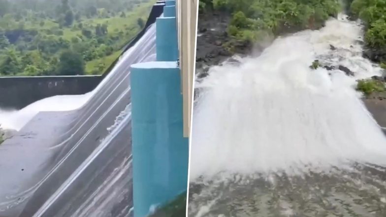Mumbai Water Lake Update: भारी बारिश से मुंबईकरों को राहत, तानसा-भातसा समेत सातों झीलों का जलस्तर बढ़ा, पानी का कुल स्टॉक 16.92 प्रतिशत पहुंचा