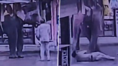 Indore Elephant Attack Video: एमपी के इंदौर में हाथी को गुड़ खिलाते समय ऑटो चालक को कुचला, इलाज के दौरान मौत