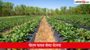 PM Fasal Bima Yojana: पीएम फसल बीमा योजना के लिए कैसे करें आवेदन? जानें पात्रता, जरूरी दस्तावेज और पूरी प्रक्रिया