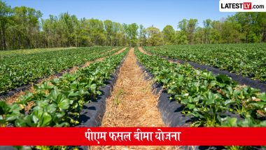 PM Fasal Bima Yojana: पीएम फसल बीमा योजना के लिए कैसे करें आवेदन? जानें पात्रता, जरूरी दस्तावेज और पूरी प्रक्रिया
