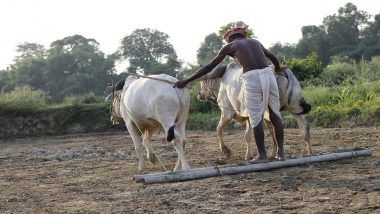 PM Kisan 24th Installment: जानें कब आएगी पीएम किसान योजना की 24वीं किस्त, 2,000 रुपये पाने के लिए तुरंत पूरे करें ये 3 जरूरी काम