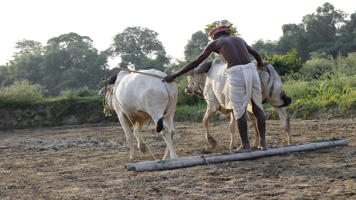 PM Kisan 24th Installment: जानें कब आएगी पीएम किसान योजना की 24वीं किस्त, 2,000 रुपये पाने के लिए तुरंत पूरे करें ये 3 जरूरी काम