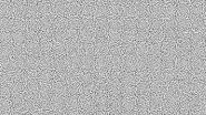 Ghost Font: क्या है 'घोस्ट फॉन्ट'? जिसे इंसान आसानी से पढ़ सकते हैं, लेकिन फेल हो जाते हैं बड़े-बड़े AI सिस्टम