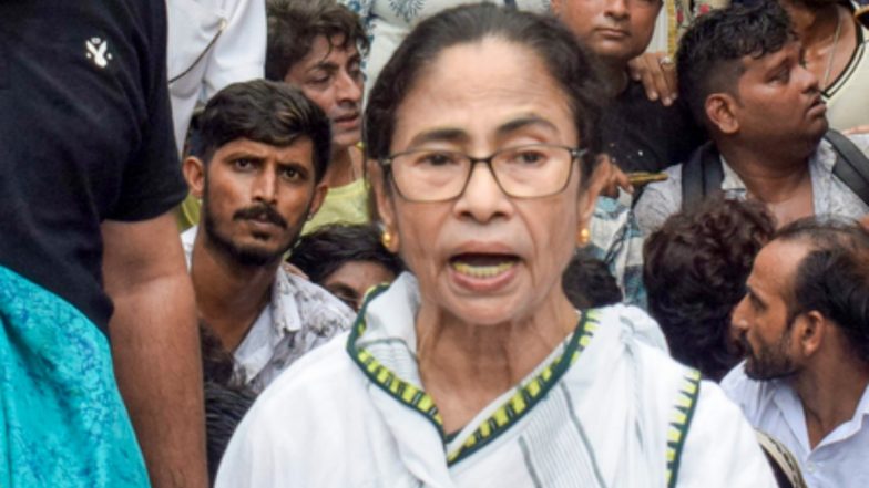 West Bengal: कोलकाता में विरोध प्रदर्शन के दौरान आपा खोईं ममता बनर्जी, सरेआम पार्टी कार्यकर्ता को जड़ा थप्पड़; सुकांत मजूमदार ने साधा निशाना