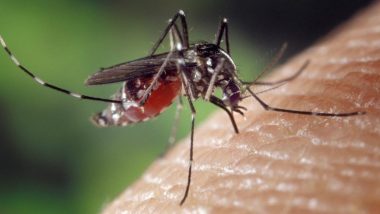 Malaria Outbreak: छत्तीसगढ़ के कांकेर में सेरेब्रल मलेरिया से दो बच्चों की मौत; स्वास्थ्य विभाग ने तेज की स्क्रीनिंग
