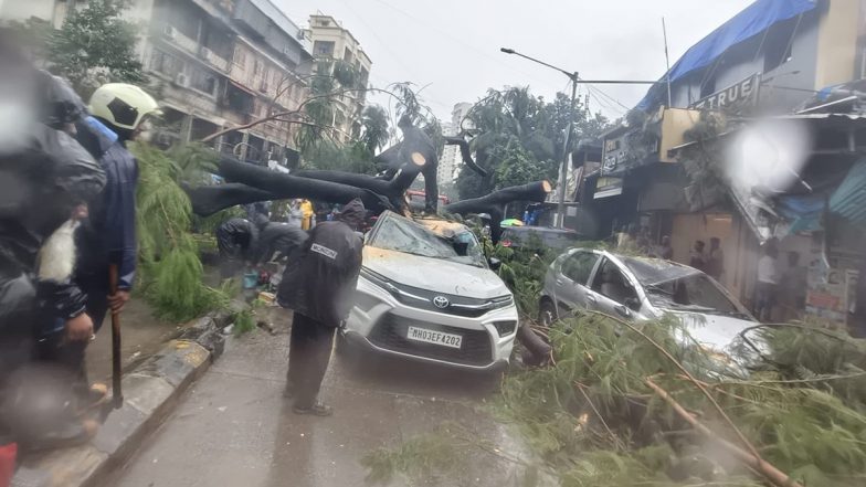 मुंबई में भारी बारिश का कहर: अंधेरी ईस्ट के मरोल मिलिट्री रोड पर गिरा विशालकाय पेड़, 2 लोग घायल; भीषण ट्रैफिक जाम (Watch Video)