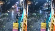 Mumbai Rains: मुंबई में भारी बारिश के चलते दादर के मीनाताई ठाकरे फ्लावर मार्केट में गिरा विशाल पेड़, टला बड़ा हादसा (Watch Video) Mumbai Rains: मुंबई में भारी बारिश के चलते दादर के मीनाताई ठाकरे फ्लावर मार्केट में गिरा विशाल पेड़, टला बड़ा हादसा (Watch Video)