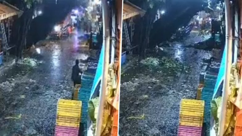 Mumbai Rains: मुंबई में भारी बारिश के चलते दादर के मीनाताई ठाकरे फ्लावर मार्केट में गिरा विशाल पेड़, टला बड़ा हादसा (Watch Video)