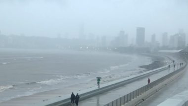 मुंबई मानसून आफत: सांताक्रुज में पेड़ गिरने से 8 लोग घायल, आईएमडी ने जारी किया ऑरेंज अलर्ट (Watch Video)