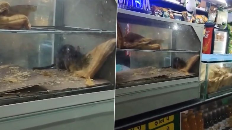 Surat Railway Station Rat Video: चाय के स्टॉल पर कांच के काउंटर में पफ खाता दिखा चूहा; वीडियो वायरल होने के बाद रेलवे ने स्टॉल किया सील