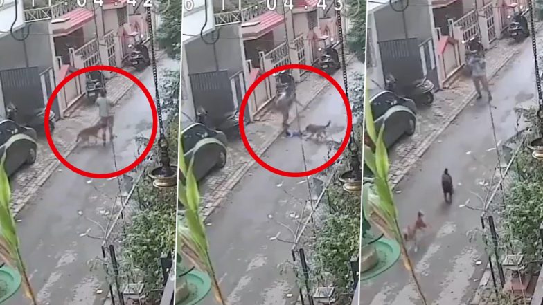 Pune Stray Dog Attack Video: पुणे में आवारा कुत्ते ने 1 साल के बच्चे को गोद में लिए महिला पर किया हमला, संतुलन बिगड़ने से जमीन पर गिरा मासूम