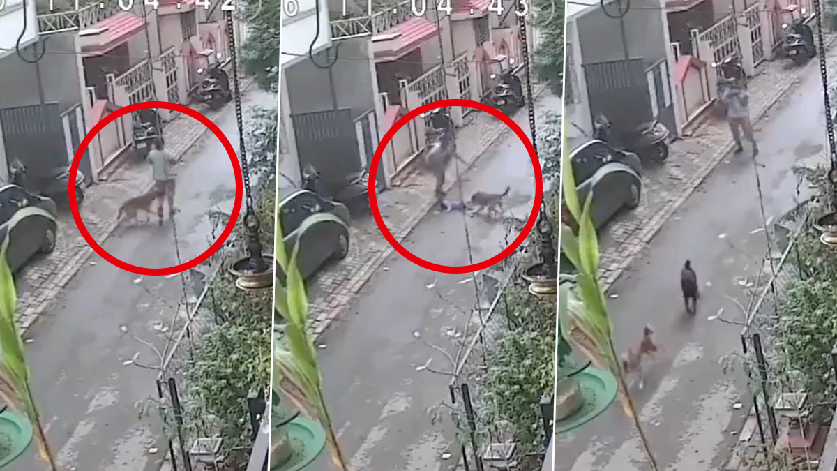 Pune Stray Dog Attack Video: पुणे में आवारा कुत्ते ने 1 साल के बच्चे को गोद में लिए महिला पर किया हमला, संतुलन बिगड़ने से जमीन पर गिरा मासूम