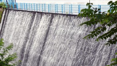 मुंबई झीलों का जलस्तर आज: 10 अगस्त तक जलाशयों में कितना जमा हुआ पानी? BMC ने साझा किया जल भंडार का आंकड़ा; चेक