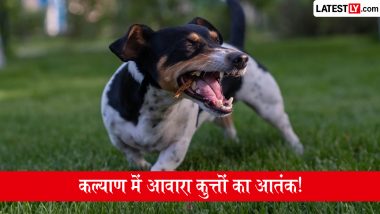 Kalyan Stray Dog Attack: कल्याण स्टेशन के पास आवारा कुत्तों का आतंक, एक ही दिन में 150 लोगों को काटा