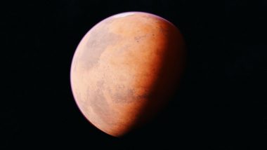 NASA Mars Photo: मंगल ग्रह पर दिखा 'टहलता हुआ इंसान'? नासा की पुरानी तस्वीर ने इंटरनेट पर फिर छेड़ी बहस