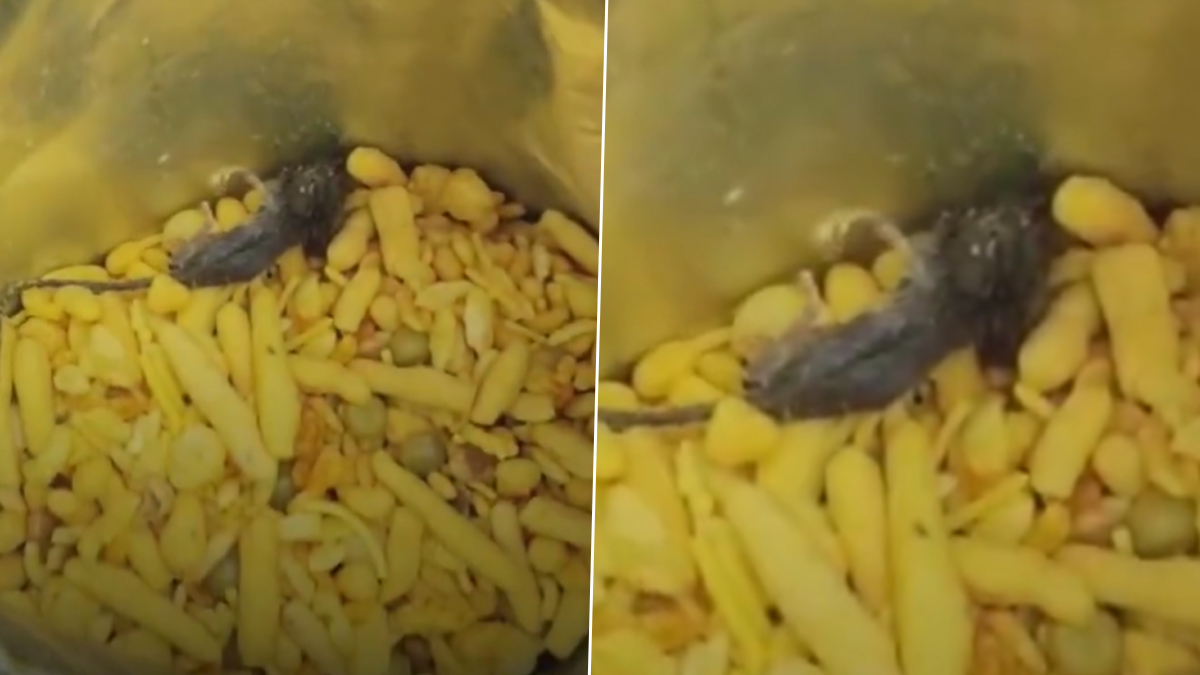 Kanpur Dehat: सीलबंद 'खट्टा मीठा' नमकीन के पैकेट में मिला मरा हुआ चूहा, शिकायत के बाद खाद्य सुरक्षा विभाग ने शुरू की जांच