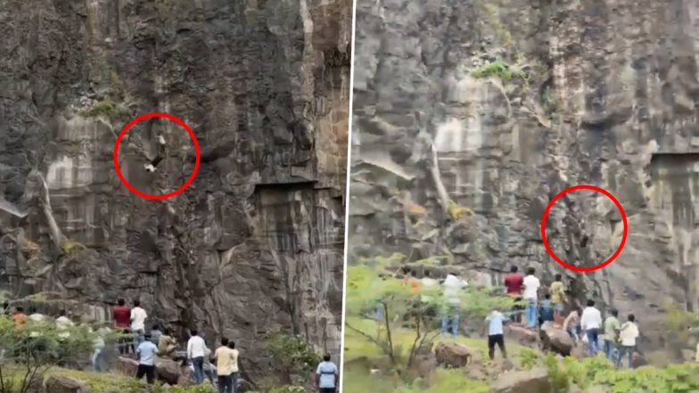 Chhatrapati Sambhajinagar: पहाड़ी से गिरने से युवक और उसे बचाने की कोशिश में माता-पिता की मौत, पुलिस जांच में जुटी