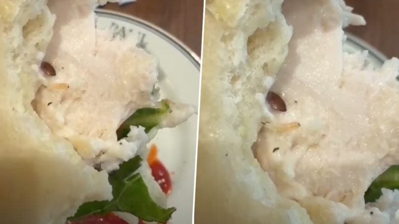 Gurugram News: गुरुग्राम के पॉल रेस्टोरेंट के सैंडविच में रेंगता मिला जिंदा कीड़ा, सोशल मीडिया पर VIDEO वायरल होने के बाद मचा हड़कंप