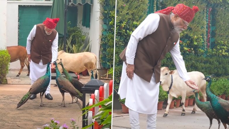 PM मोदी ने शेयर किया सुबह की दिनचर्या का वीडियो, 7 लोक कल्याण मार्ग पर मोर और देसी नस्ल की छोटी गायों संग समय बिताते दिखें; VIDEO