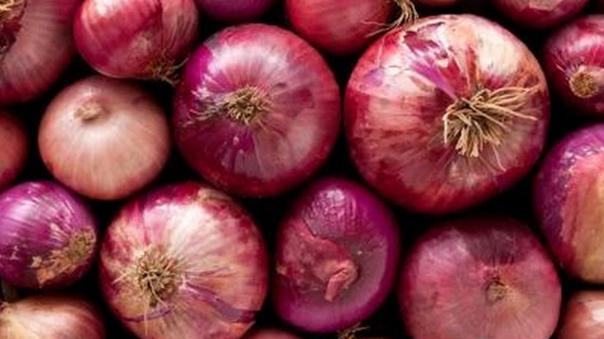 Where Can You Buy Onions: आज से 35 रुपये किलो प्याज कहां मिलेगा? जानें सस्ता प्याज खरीदने की जगहें