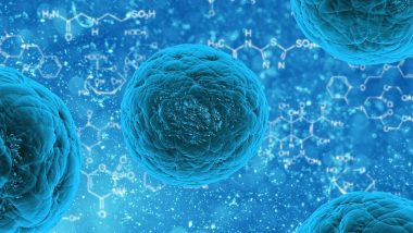 Chandipura Virus: गुजरात और राजस्थान में चांदीपुरा वायरस का कहर; जांच के लिए केंद्र ने तैनात की राष्ट्रीय संयुक्त टीम