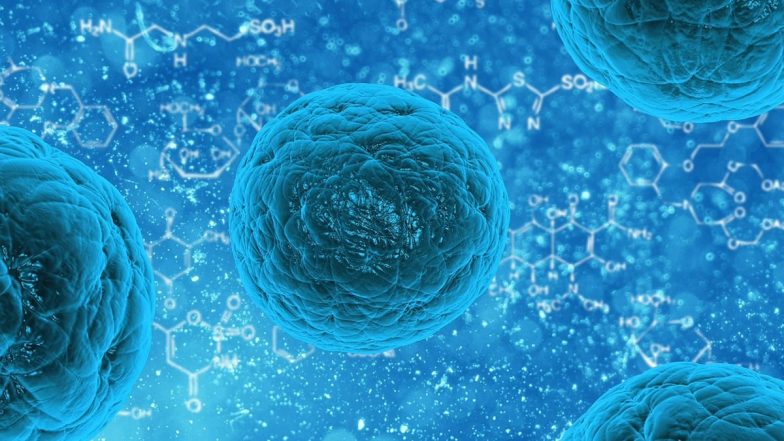Chandipura Virus: गुजरात और राजस्थान में चांदीपुरा वायरस का कहर; जांच के लिए केंद्र ने तैनात की राष्ट्रीय संयुक्त टीम