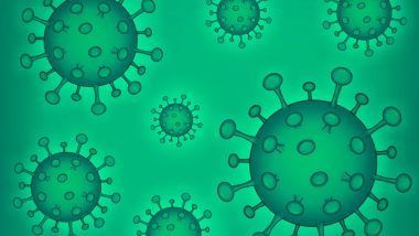 Chandipura Virus Outbreak: गुजरात और राजस्थान में चांदीपुरा वायरस का कहर; जानें इसके लक्षण, कारण, इलाज और बचाव के उपाय