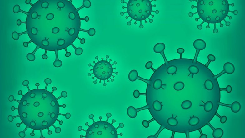 Chandipura Virus Outbreak: गुजरात और राजस्थान में चांदीपुरा वायरस का कहर; जानें इसके लक्षण, कारण, इलाज और बचाव के उपाय