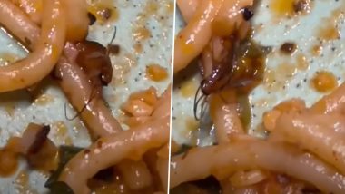 Viral Video: मुंबई के 'द फूड टाउन' रेस्टोरेंट में साफ-सफाई को लेकर बड़ी लापरवाही, खाने की डिश में मिला मरा हुआ कॉकरोच; बवाल के बाद शिकायत दर्ज