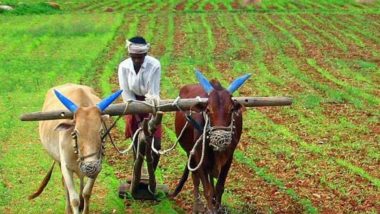 PM Kisan 24th Instalment: किसानों को ₹2,000 पाने के लिए जल्द पूरा करें अनिवार्य e-KYC, नहीं तो अटक सकती है किस्त