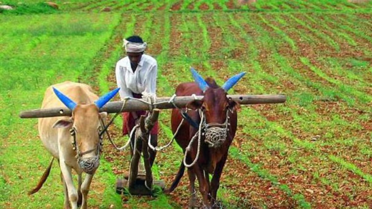 PM Kisan 24th Instalment: किसानों को ₹2,000 पाने के लिए जल्द पूरा करें अनिवार्य e-KYC, नहीं तो अटक सकती है किस्त