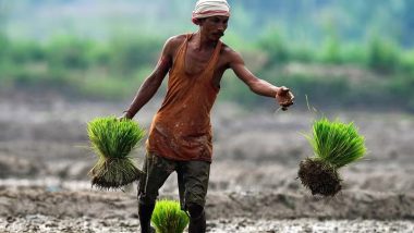 PM Kisan 24th Installment: पीएम किसान योजना की 24वीं किस्त का इंतजार; जानें संभावित तिथि और eKYC प्रक्रिया