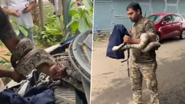 Python Video: मुंबई के दहिसर में कार के इंजन में छिपा मिला अजगर, कड़ी मशक्कत के बाद सुरक्षित निकाला गया