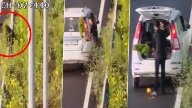 Baghpat Viral Video: दिल्ली-देहरादून एक्सप्रेसवे से 'POLICE' लिखी कार में पौधा उखाड़कर ले गया युवक; CCTV में कैद हुई अजीबोगरीब चोरी