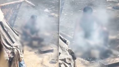 Agra Animal Cruelty: आगरा में आग पर कुत्ते को भूनने का वीडियो वायरल; सैंया पशु हाट के पास की बताई जा रही घटना, पुलिस ने शुरू की जांच