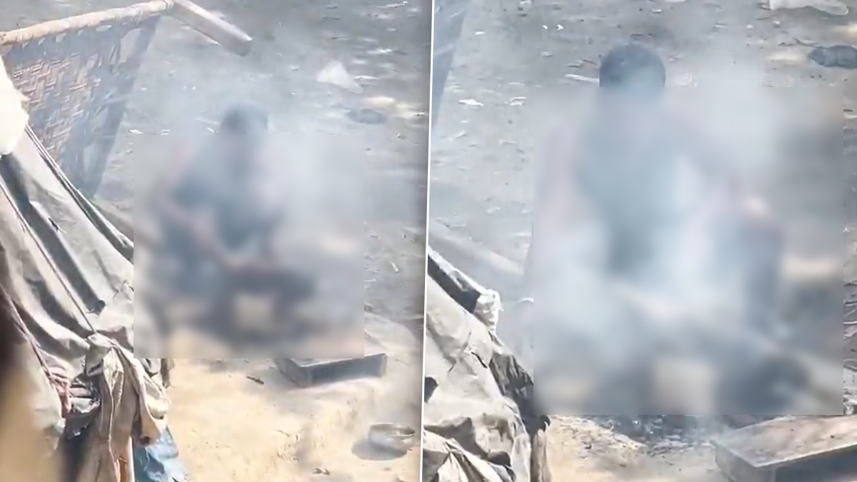 Agra Animal Cruelty: आगरा में आग पर कुत्ते को भूनने का वीडियो वायरल; सैंया पशु हाट के पास की बताई जा रही घटना, पुलिस ने शुरू की जांच