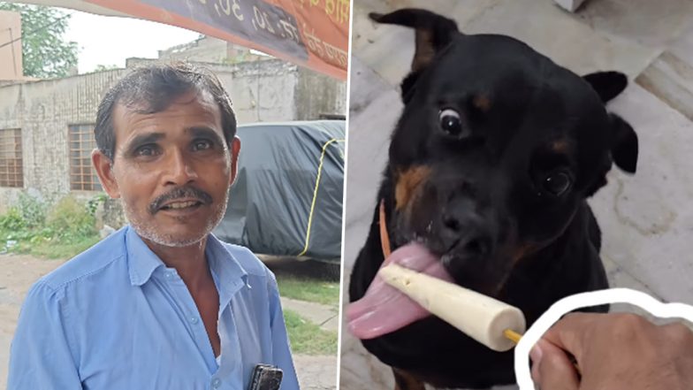 राजस्थान के जयपुर में कुत्तों के लिए बनी खास कुल्फी, सोशल मीडिया पर वायरल हुआ VIDEO
