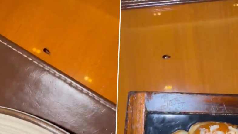 VIDEO: मुंबई के एक फाइव स्टार होटल की डाइनिंग टेबल पर रेंगता दिखा कॉकरोच, देश के मशहूर डॉक्टर ने शेयर किया वीडियो