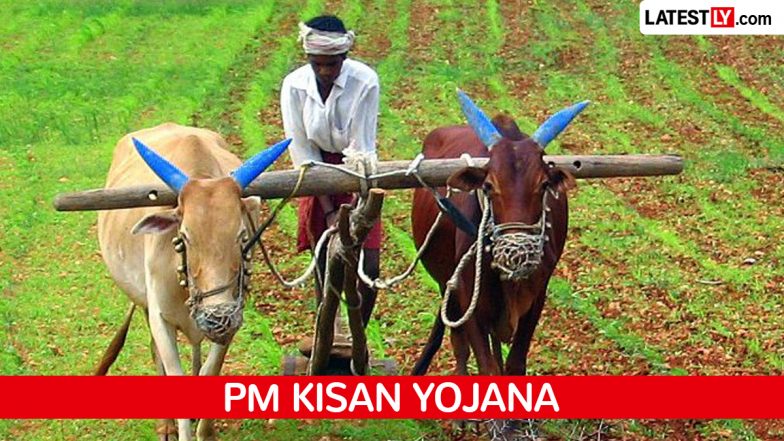PM Kisan Yojana: पीएम किसान सम्मान निधि योजना की 24वीं किस्त कब होगी जारी? जानें ताजा अपडेट