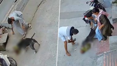 Sonipat Pitbull Horror: सोनीपत में 6 महीने के मासूम पर टूट पड़ा पिटबुल; जबड़े में दबाकर सड़क पर घसीटा, रोहतक पीजीआई में बच्चा गंभीर